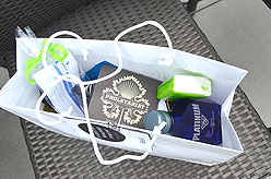 LADY 12 CELEBRITY FASHION SHOW